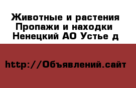 Животные и растения Пропажи и находки. Ненецкий АО,Устье д.